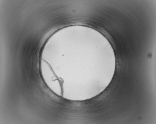 X0000113091096200910091251