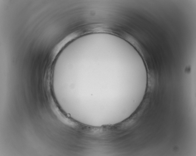 X0000113091098200910091251