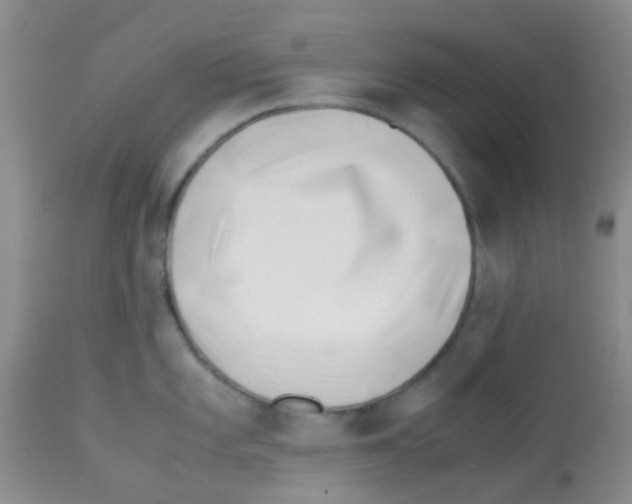 X0000113091101200910091251