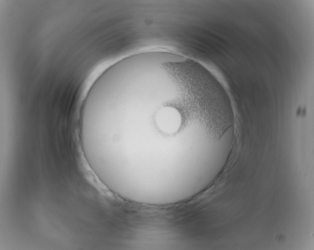 X0000113091104200910091251