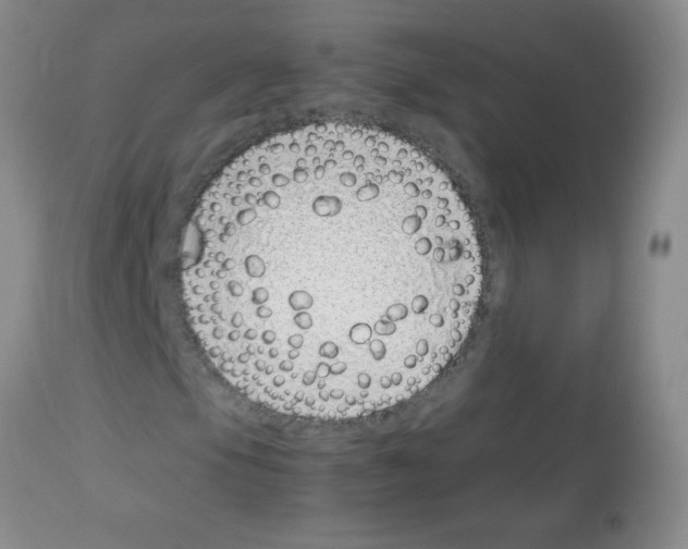 X0000113091105200910091250