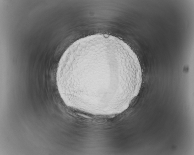 X0000113091106200910091250