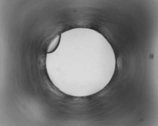 X0000113091107200910091250
