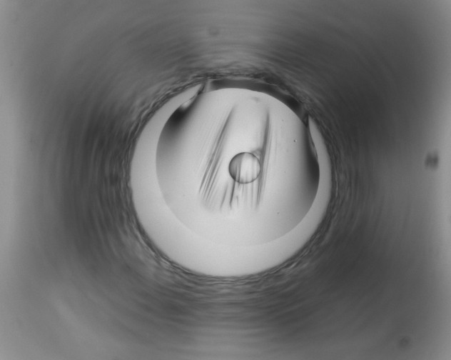 X0000113091108200910091250