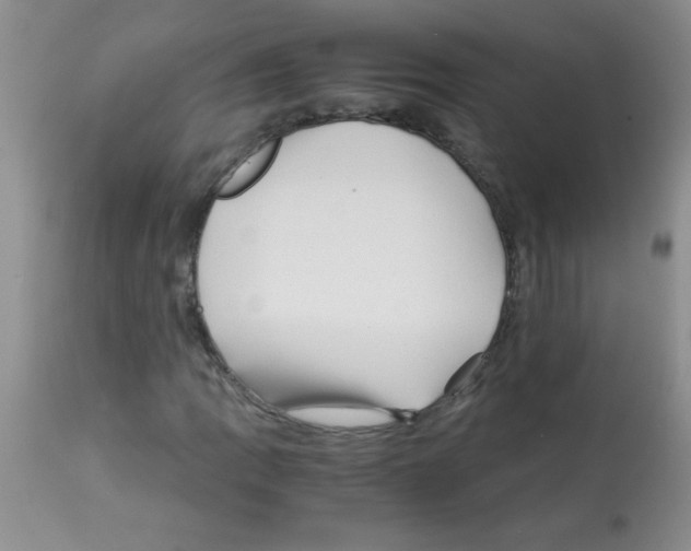 X0000113091109200910091250