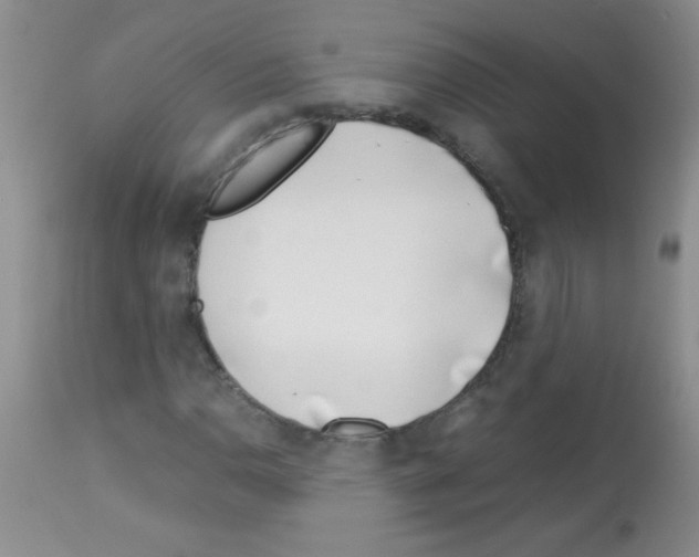 X0000113091110200910091250
