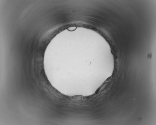 X0000113091111200910091250