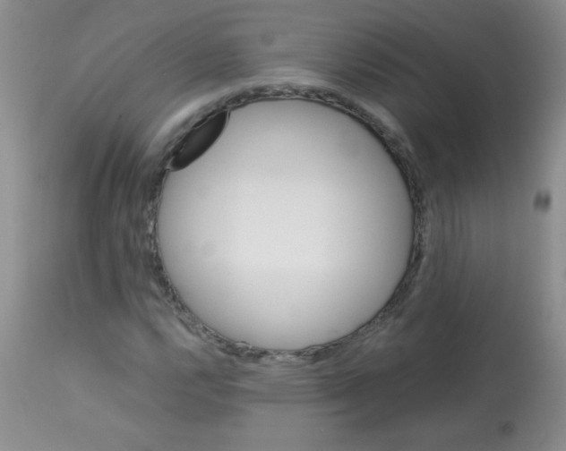 X0000113091112200910091250