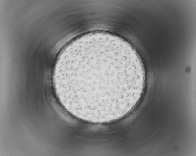 X0000113091113200910091250