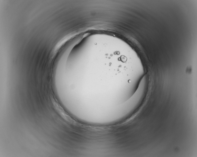 X0000113091114200910091250