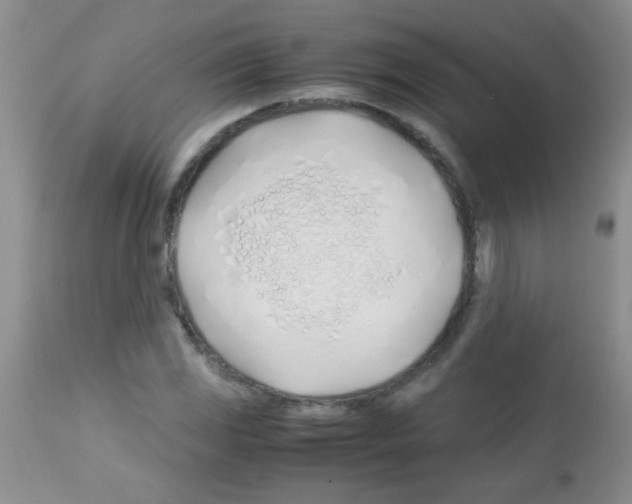 X0000113091117200910091250