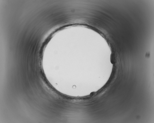 X0000113091118200910091250