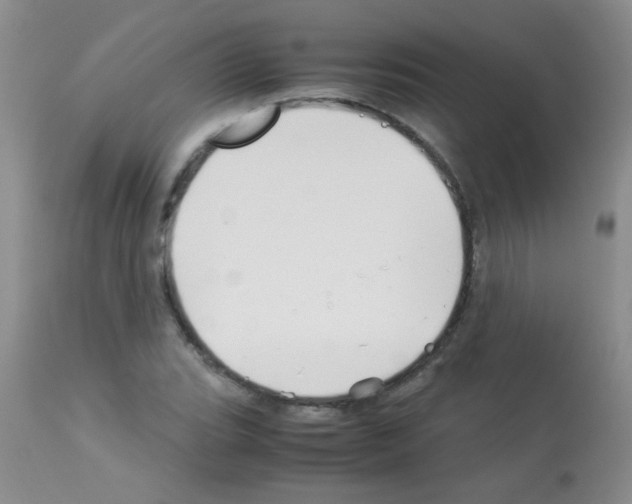 X0000113091119200910091250