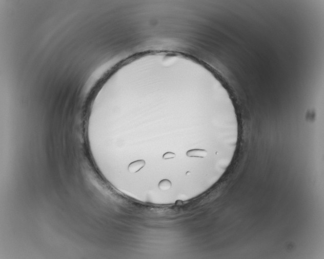 X0000113091120200910091250