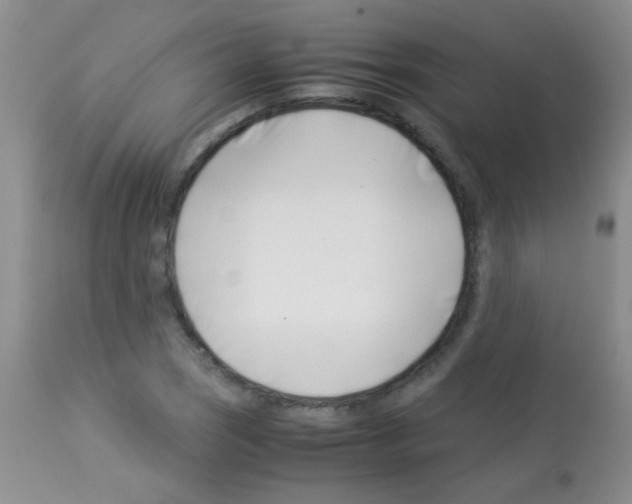 X0000113091121200910091250