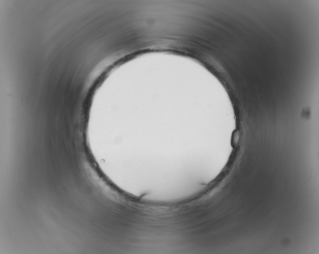 X0000113091122200910091250