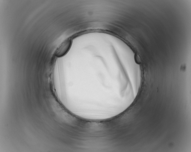 X0000113091124200910091250