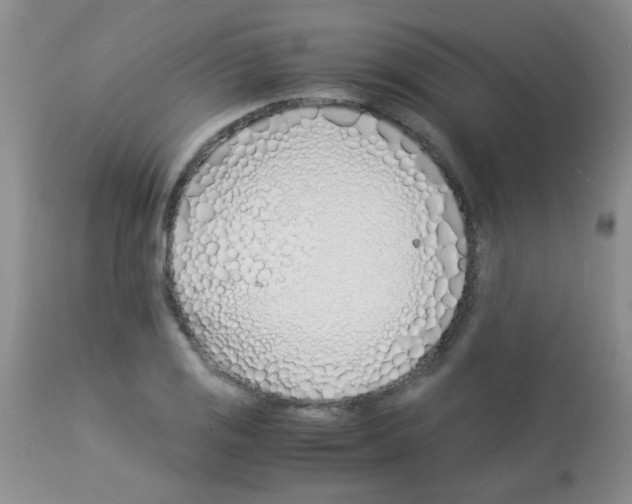 X0000113091125200910091250