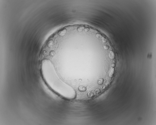 X0000113091126200910091250