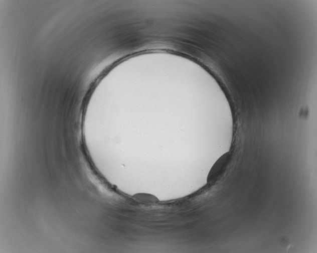 X0000113091127200910091250