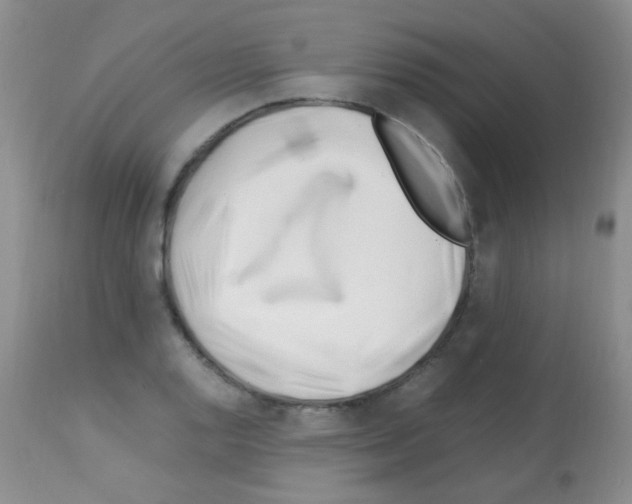 X0000113091128200910091250