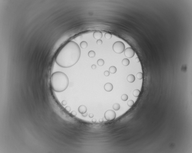 X0000113091130200910091250