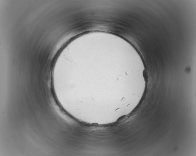 X0000113091131200910091250