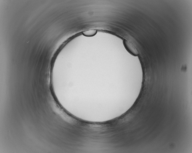 X0000113091132200910091250
