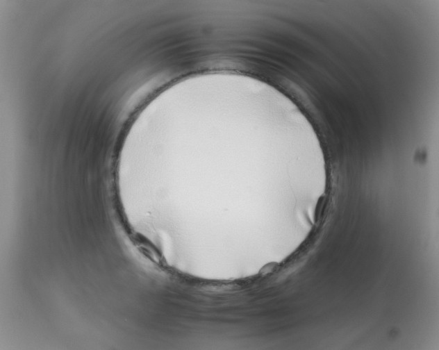 X0000113091133200910091250