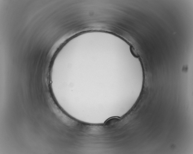 X0000113091136200910091250