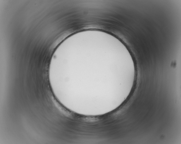X0000113091137200910091251