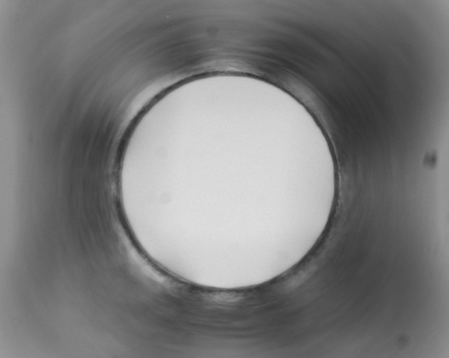 X0000113091141200910091251