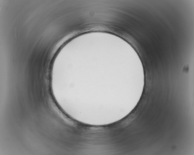 X0000113091142200910091251