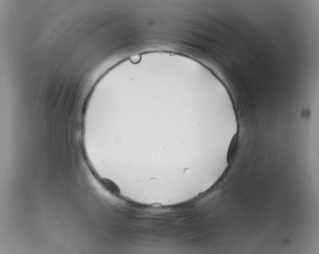X0000113091143200910091251