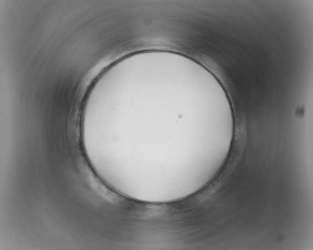 X0000113091144200910091251