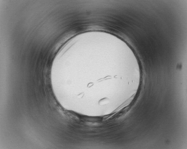 X0000113091145200910091251