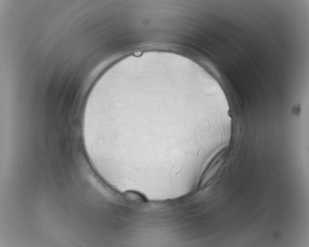 X0000113091148200910091251