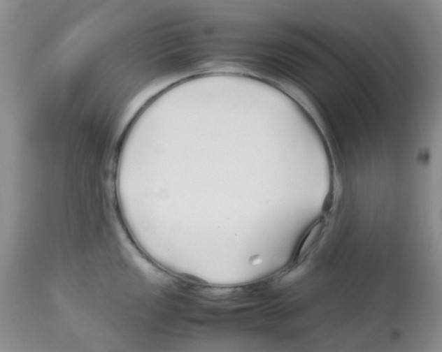X0000113091149200910091251