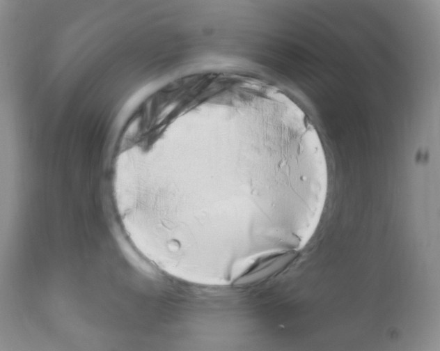 X0000113091152200910091251