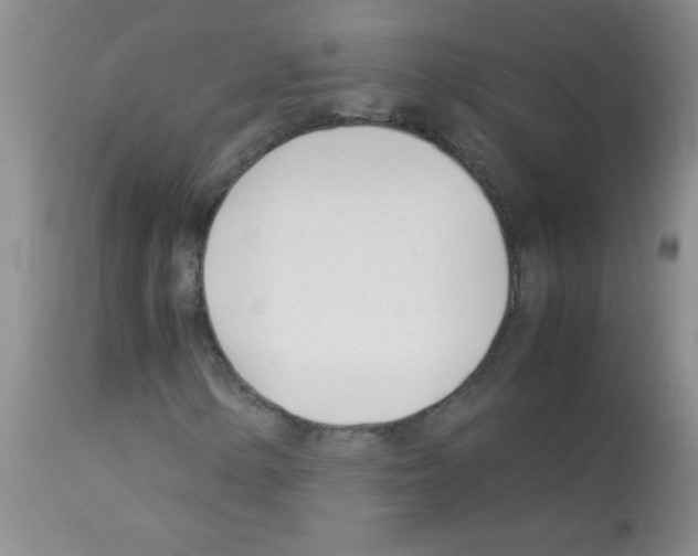 X0000113091154200910091250