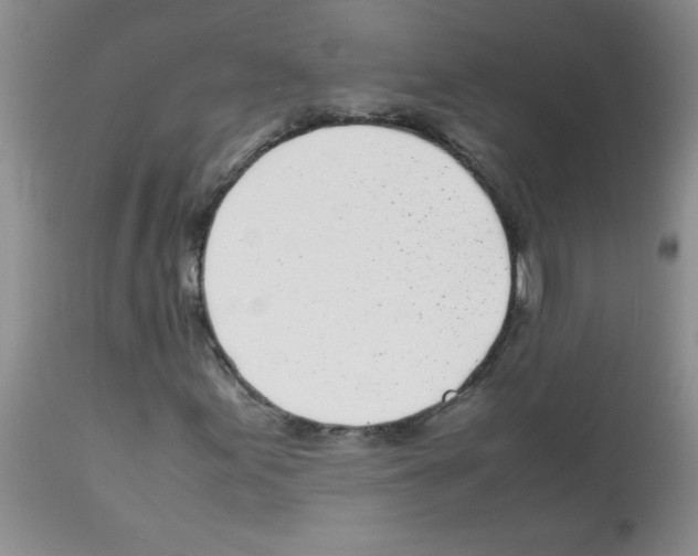 X0000113091155200910091250