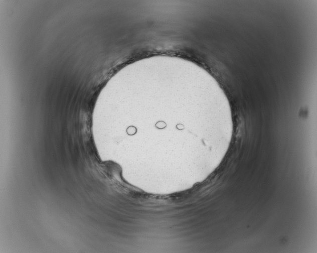 X0000113091156200910091250