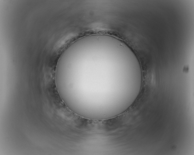 X0000113091157200910091250