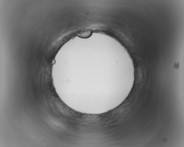 X0000113091158200910091250