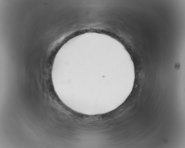 X0000113091159200910091250