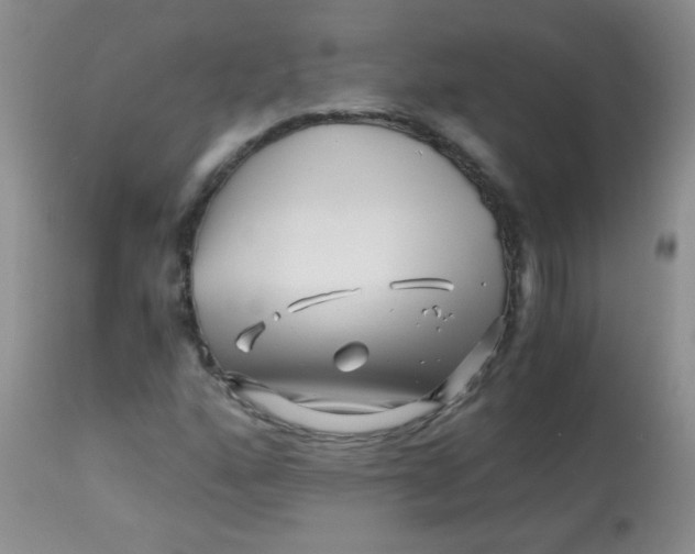 X0000113091160200910091250