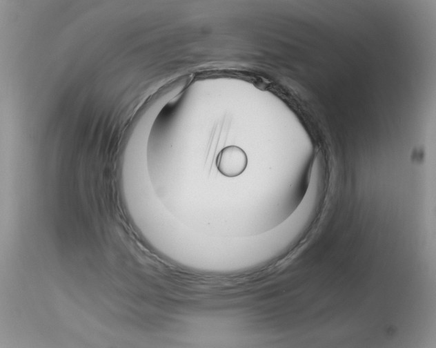 X0000113091161200910091250