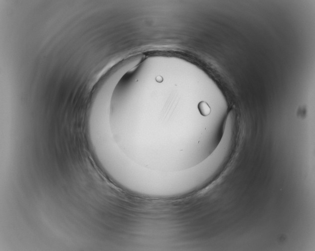 X0000113091162200910091250