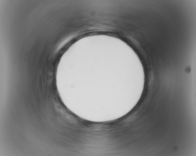 X0000113091163200910091250