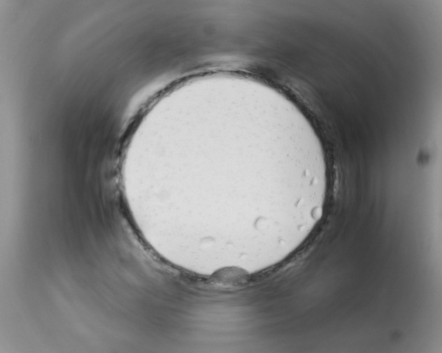 X0000113091164200910091250